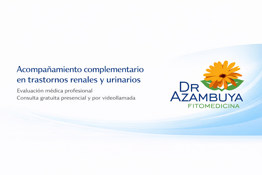 Afecciones renales y urinarias: un enfoque integral en casos de litiasis, inflamación e insuficiencia renal