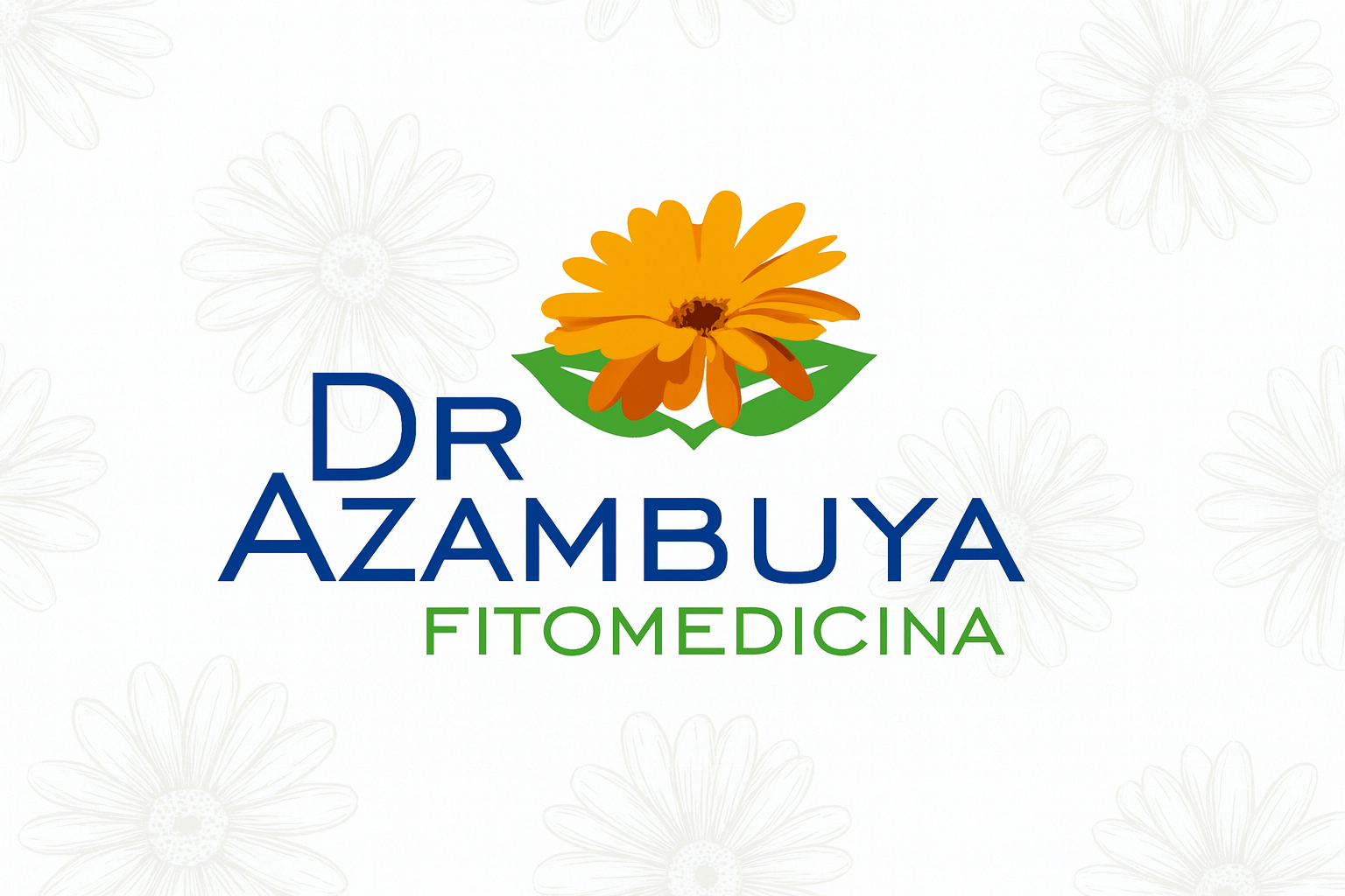 Fondo fitomedicina